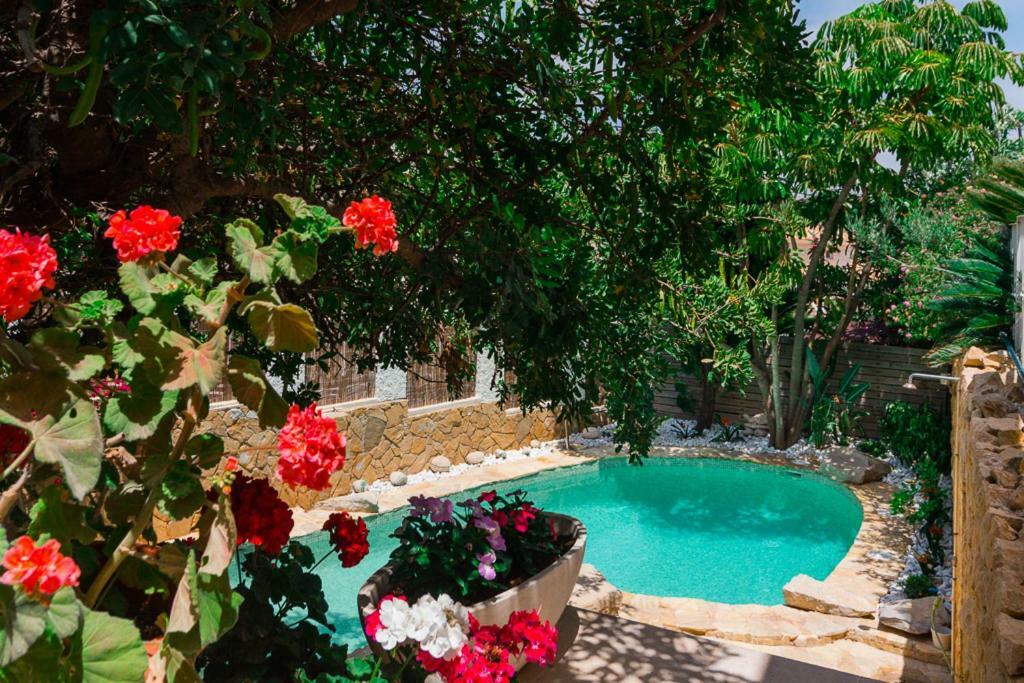 Bright Villa With Salt Water Pool El Campello Dış mekan fotoğraf